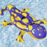 cadavdkigjilxvkdeydx