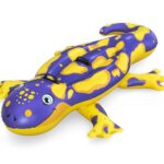 ymarfeajtdbfwoyhofgks